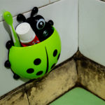Schimmel im Bad und Dusche entfernen