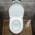 Toilettendeckel wechseln und befestigen